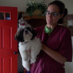 Meet your Posher, Patricia